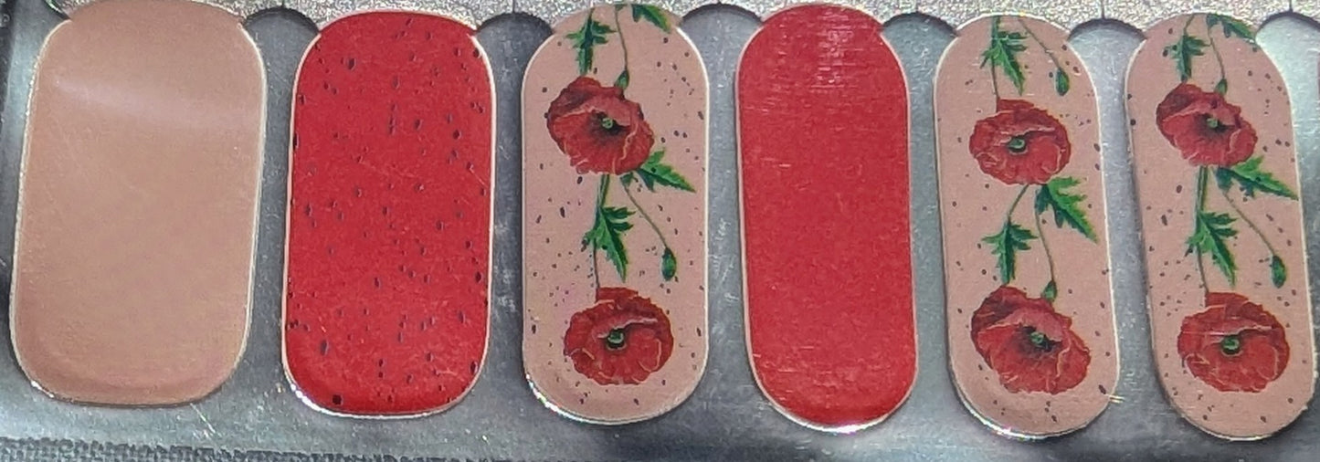 Coquelicot Sauvage