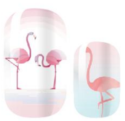 Flamingo Days