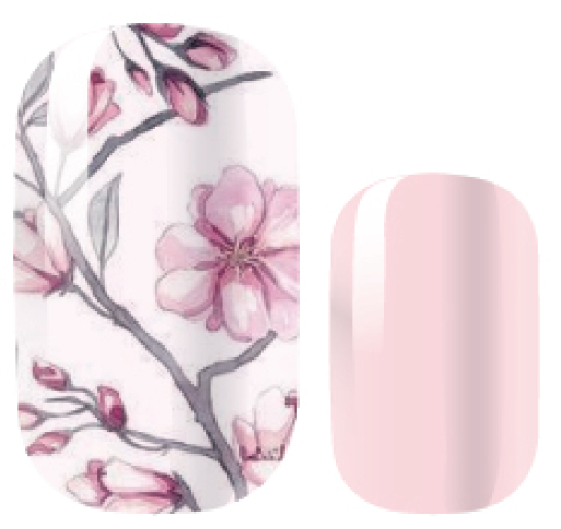 Sakura Season