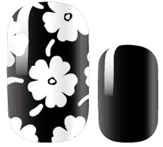 Monochrome Poppy