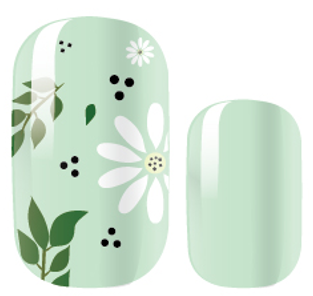 Wildflower Touch