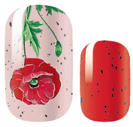 Coquelicot Sauvage