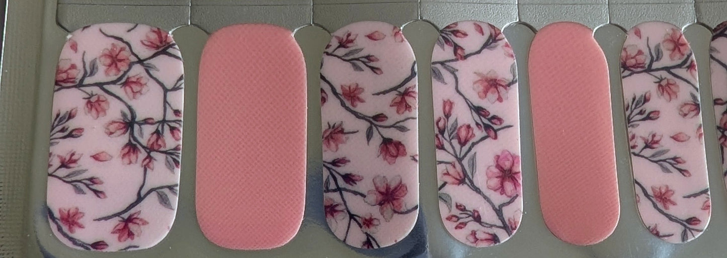 Sakura Season