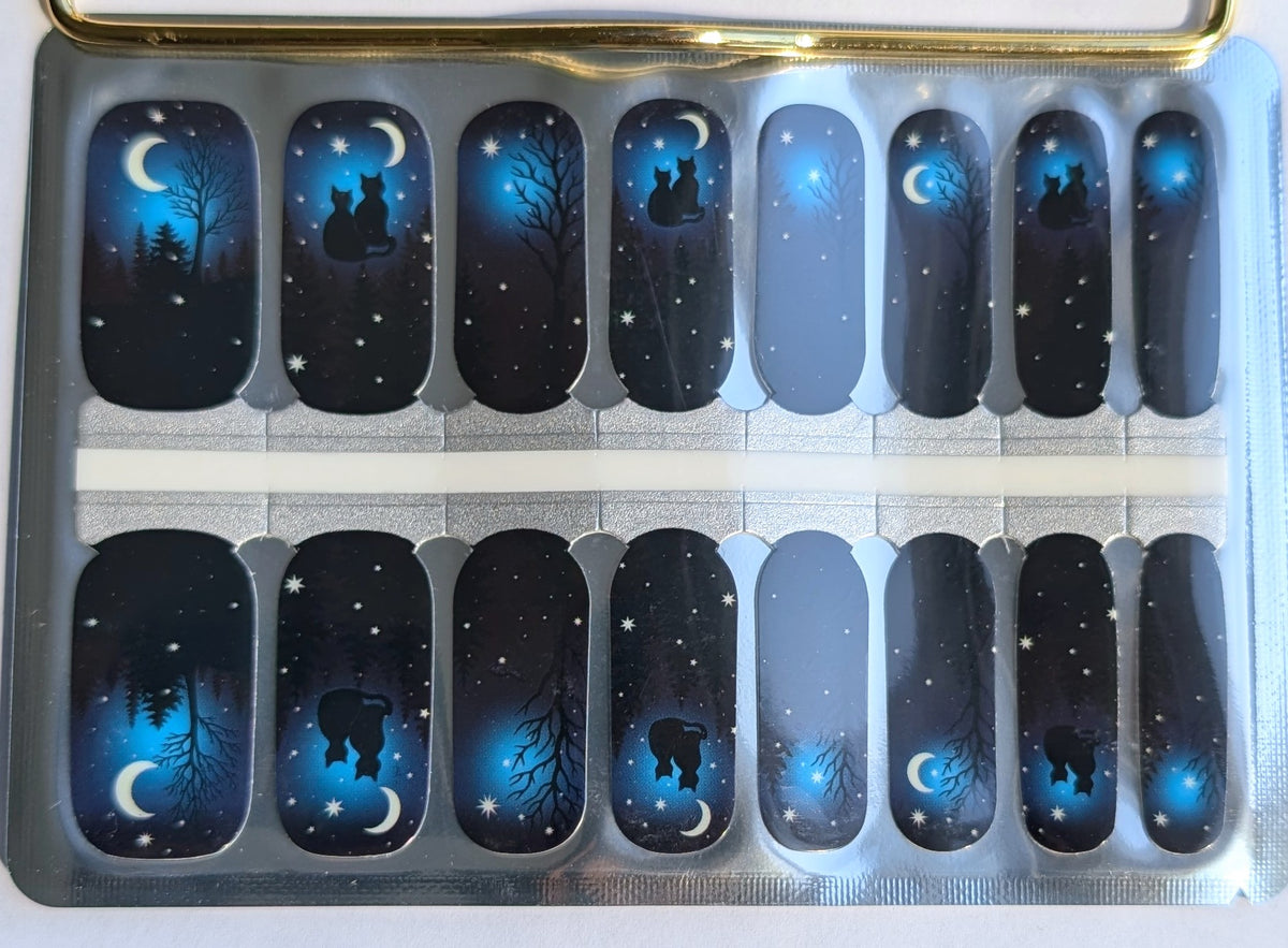 Stargazers